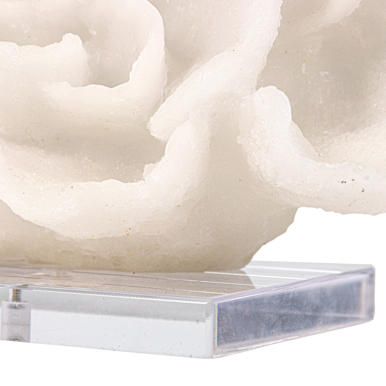 Tulum Coral White Quartz Sand Sculpture, 10"h