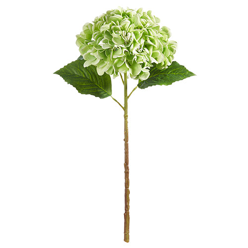 19" Real Touch Green Hydrangea Stem