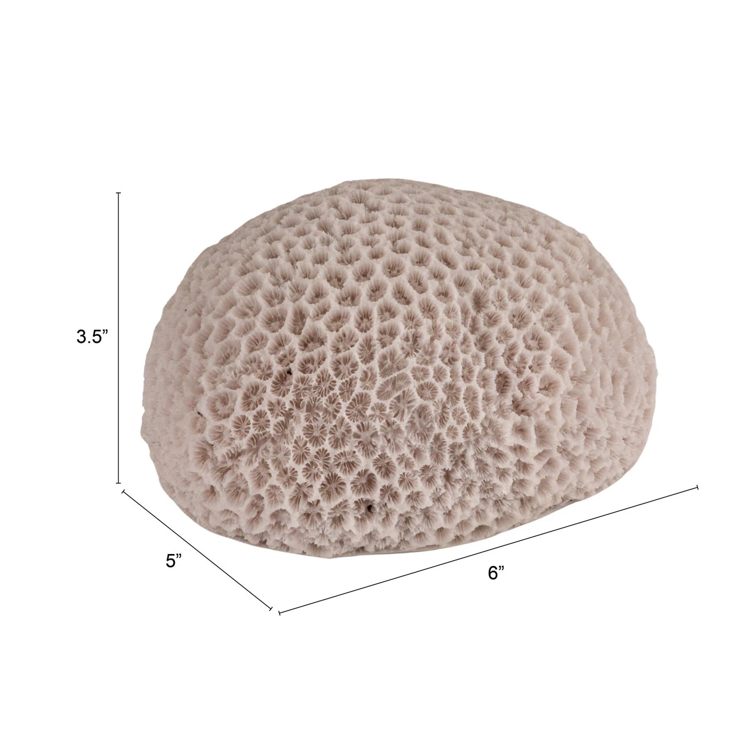 Resin LED Coral Shaped Light