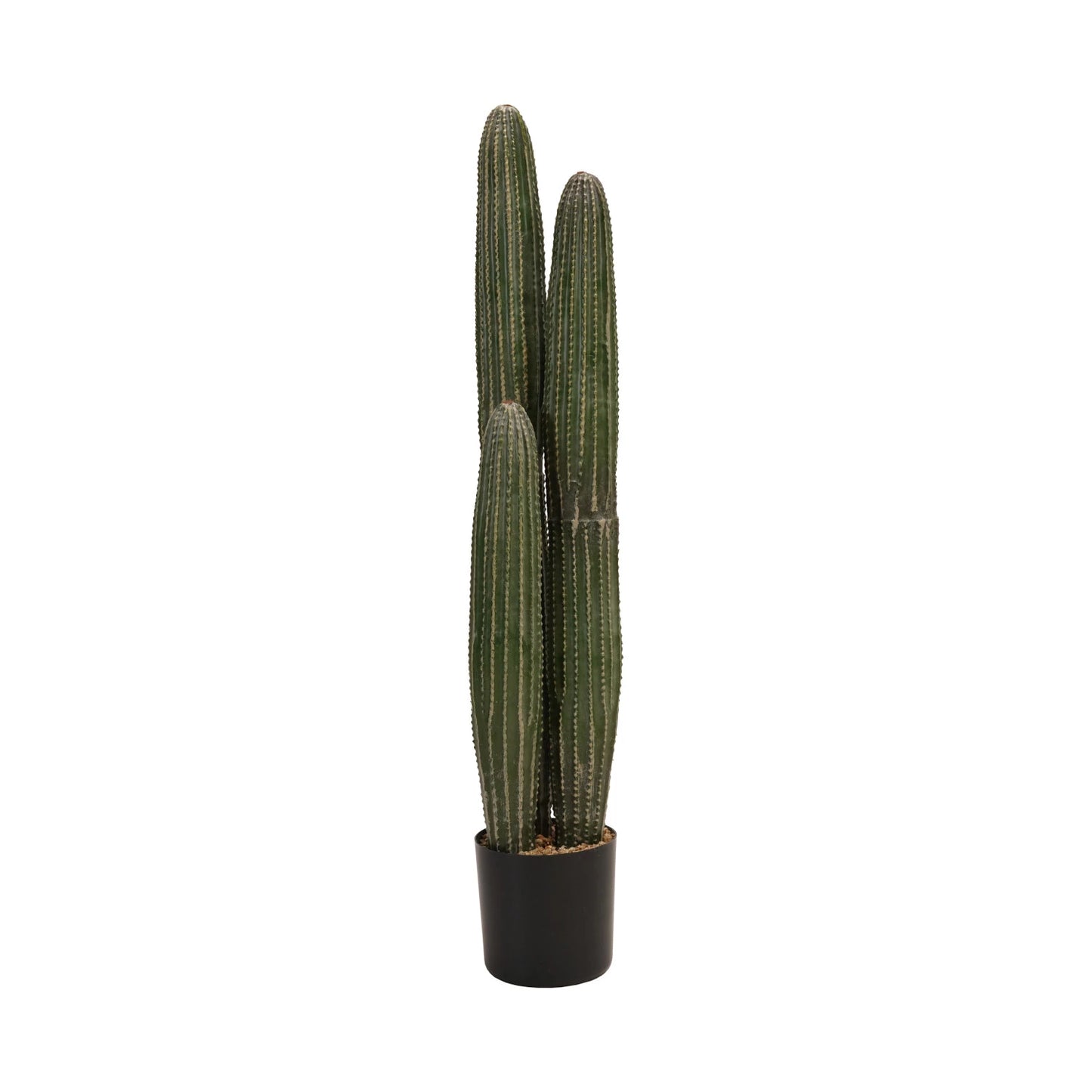 Faux Pachycereus Cactus in Plastic Pot