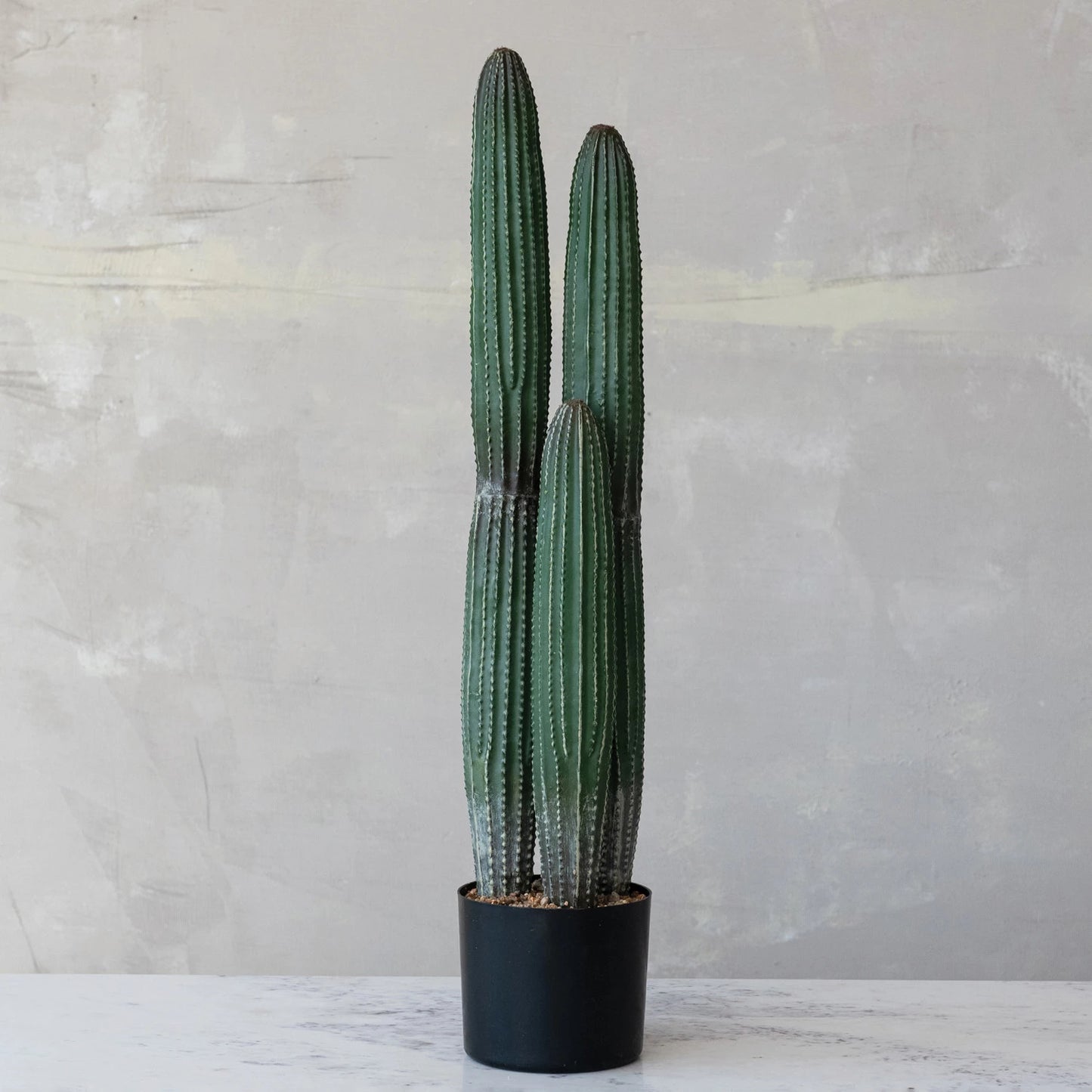 Faux Pachycereus Cactus in Plastic Pot