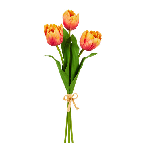 18" Orange Tulip Bundle