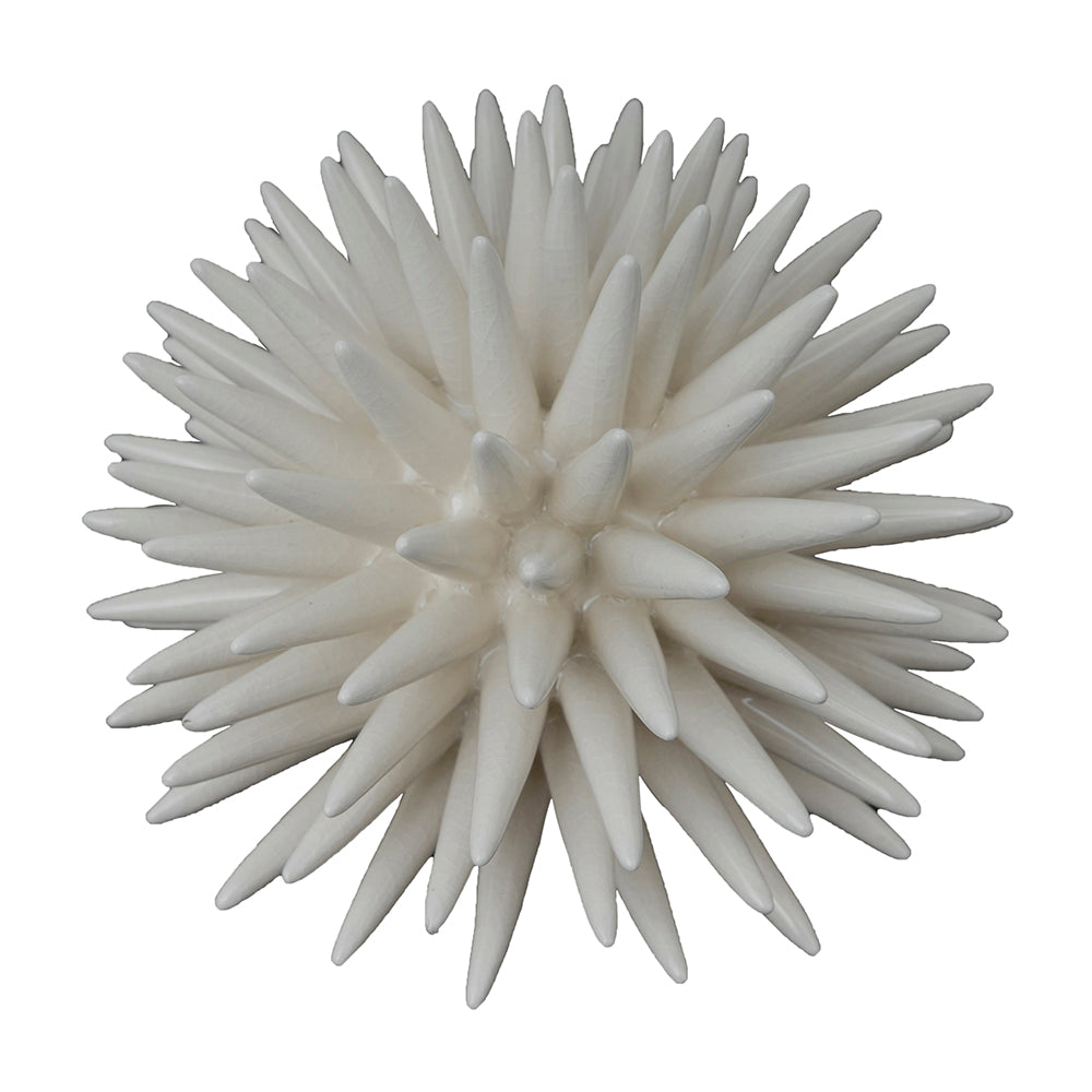 Vibrant Coral Accent