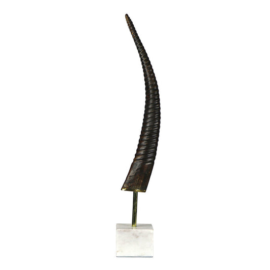 Exotic Horn On Base Medium