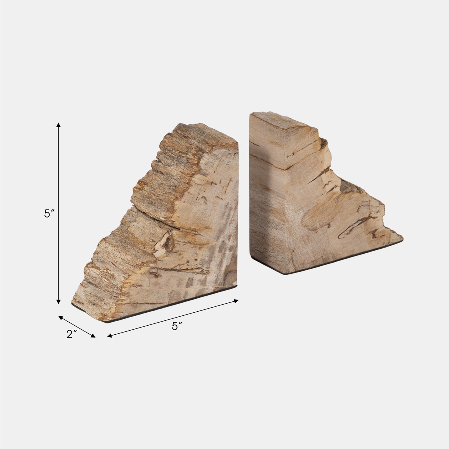 Petrified Wood Bookends