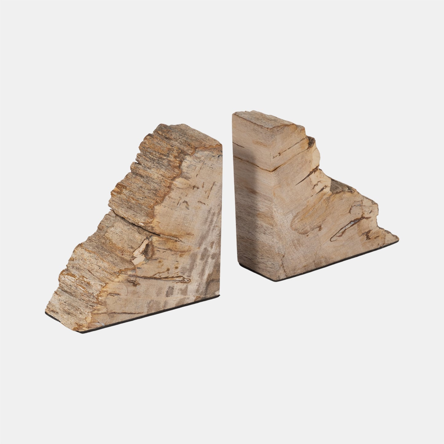 Petrified Wood Bookends