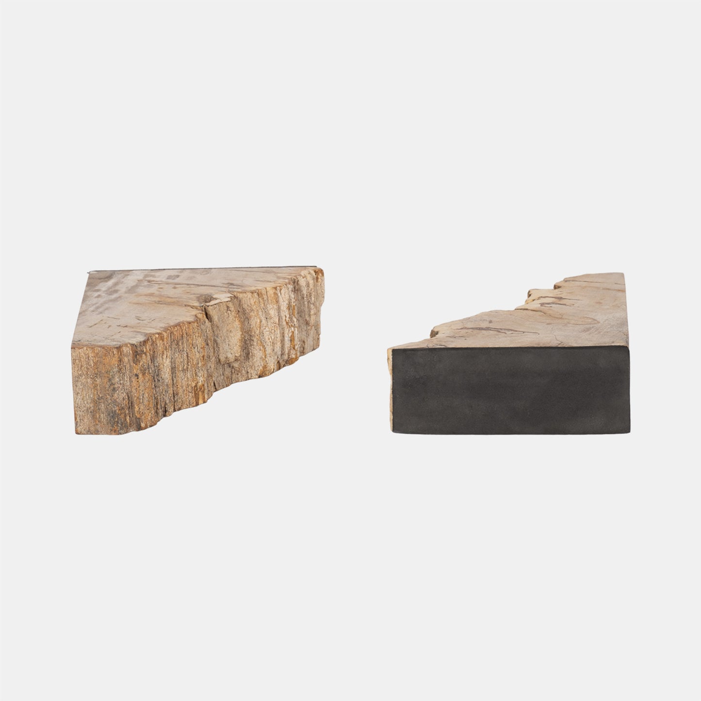 Petrified Wood Bookends